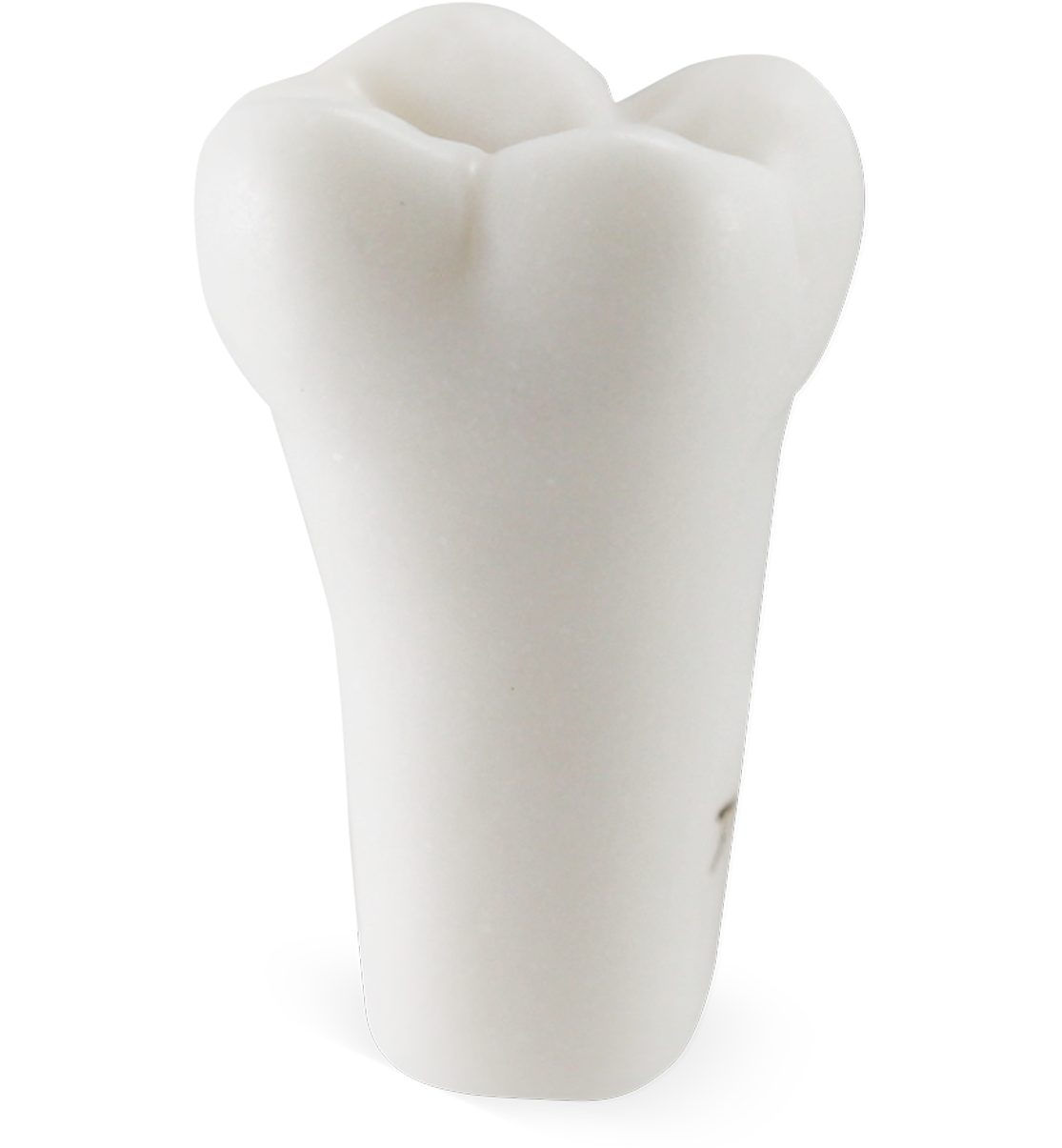 Pedo M400 Tooth #A image