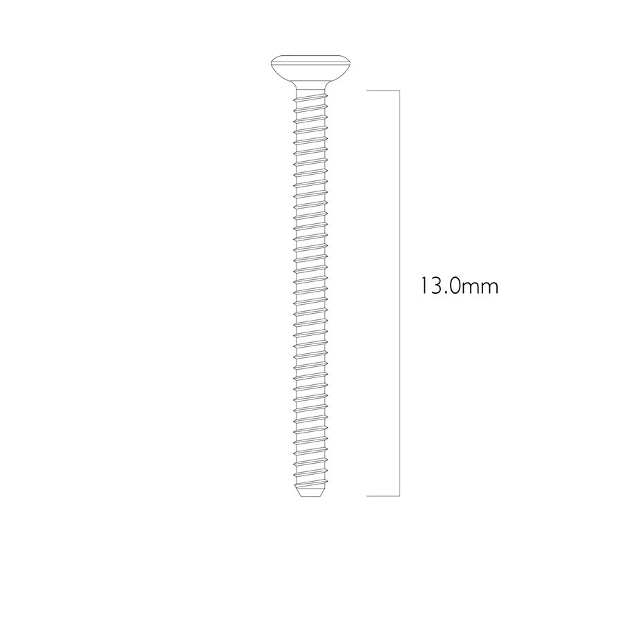 Surgery Bone Fixation Screw 0.9mm 13mm Length Pack of 10 product image