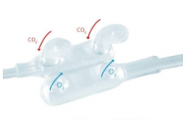 Dual Nasal Cann Male Adult Box of 25 product image