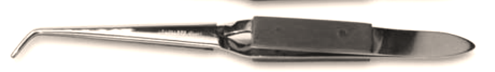 05AF8AB2C75454E512EAE3F83DB672DD