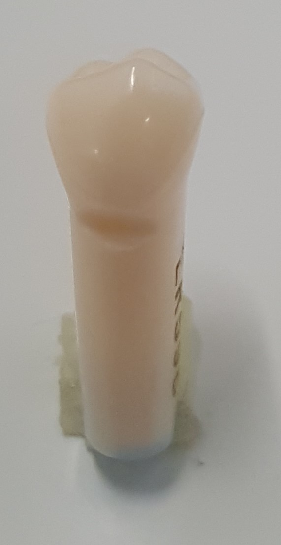 Prep Tooth #29 Class V LR59B product image