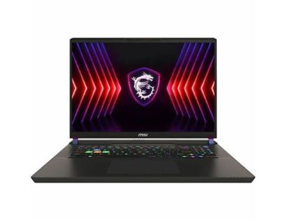 MSI Vector 17 HX A14V Vector 17 Intel Core i9 14th Gen product image