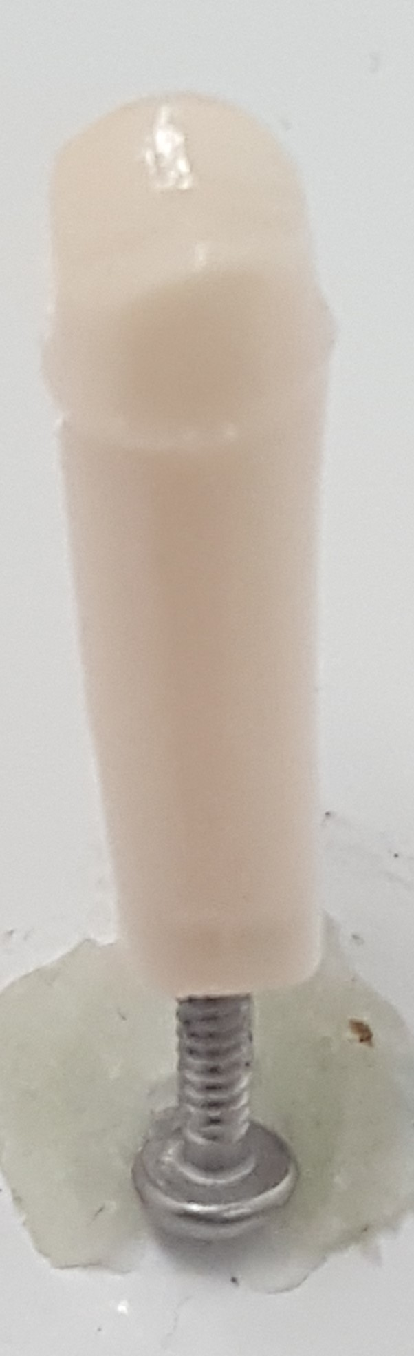 Crown Prep Teeth A21A-LL42 #21 product image