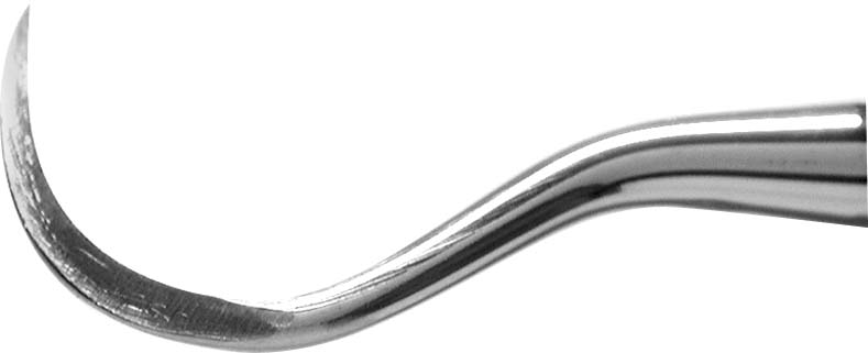 12562EFC7CB11F1788FA142FD0641057