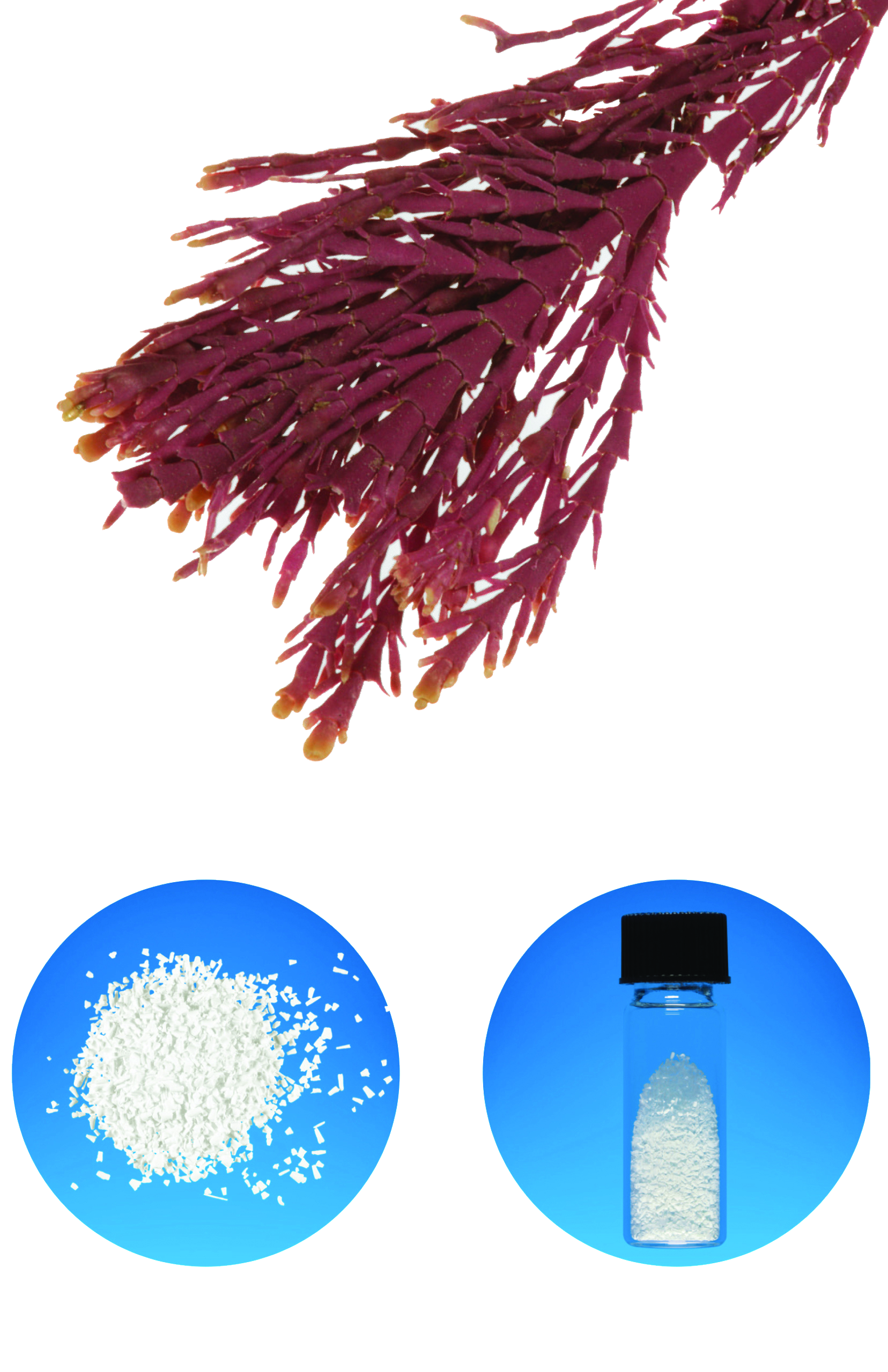 1260BF05FE61CE24A394057C0504D0A0