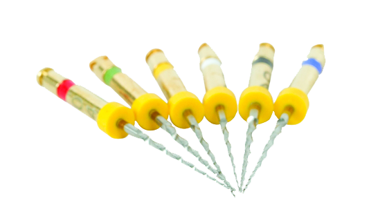 14550DC664DBAF93F9C4B90199D2363D