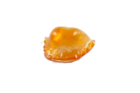 14E0295EF8CC6413CACBDF2BDFEE5A30