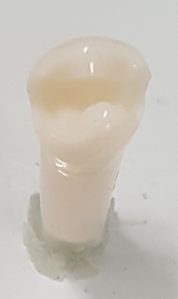 Crown Prep Teeth A21A-LL46 product image