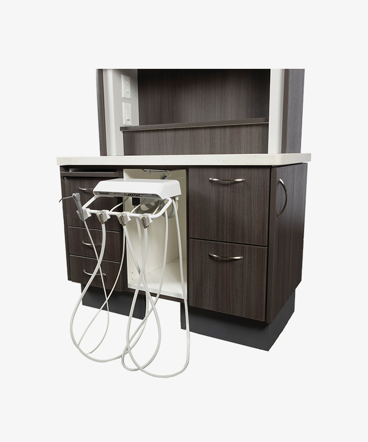 AS-1 Rear Cabinet Mount  Delivery System product image