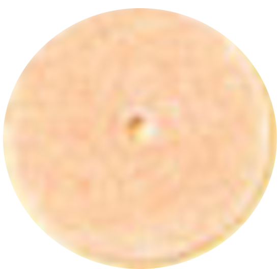 1AF0B5C300054B1B8F63F8D86CFE4C6F