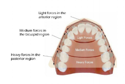 1DC2ACD503BD481877B65DFC6F4B4BF2