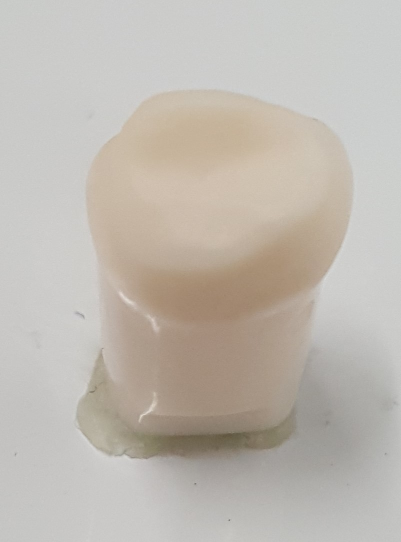 LL62A Crown Prep Tooth #19 product image