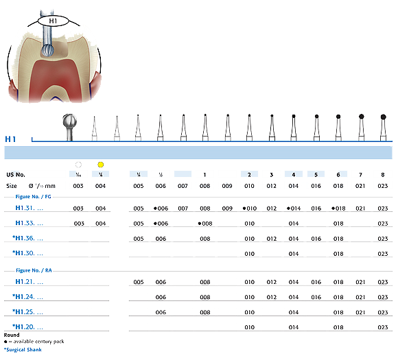 Carbide FG H021RS-010-31 Round product image