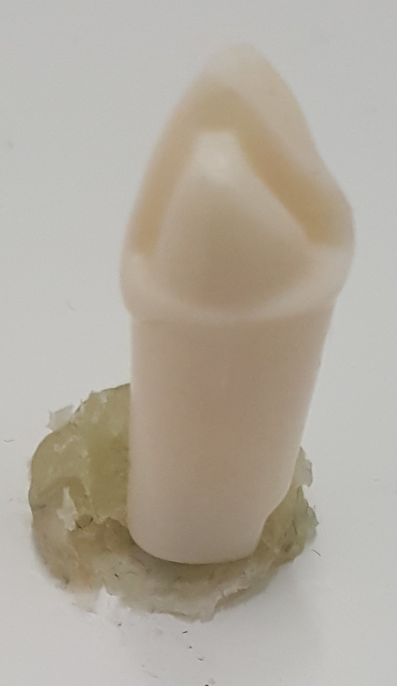 Crown Prep Teeth A21A-UR34 product image