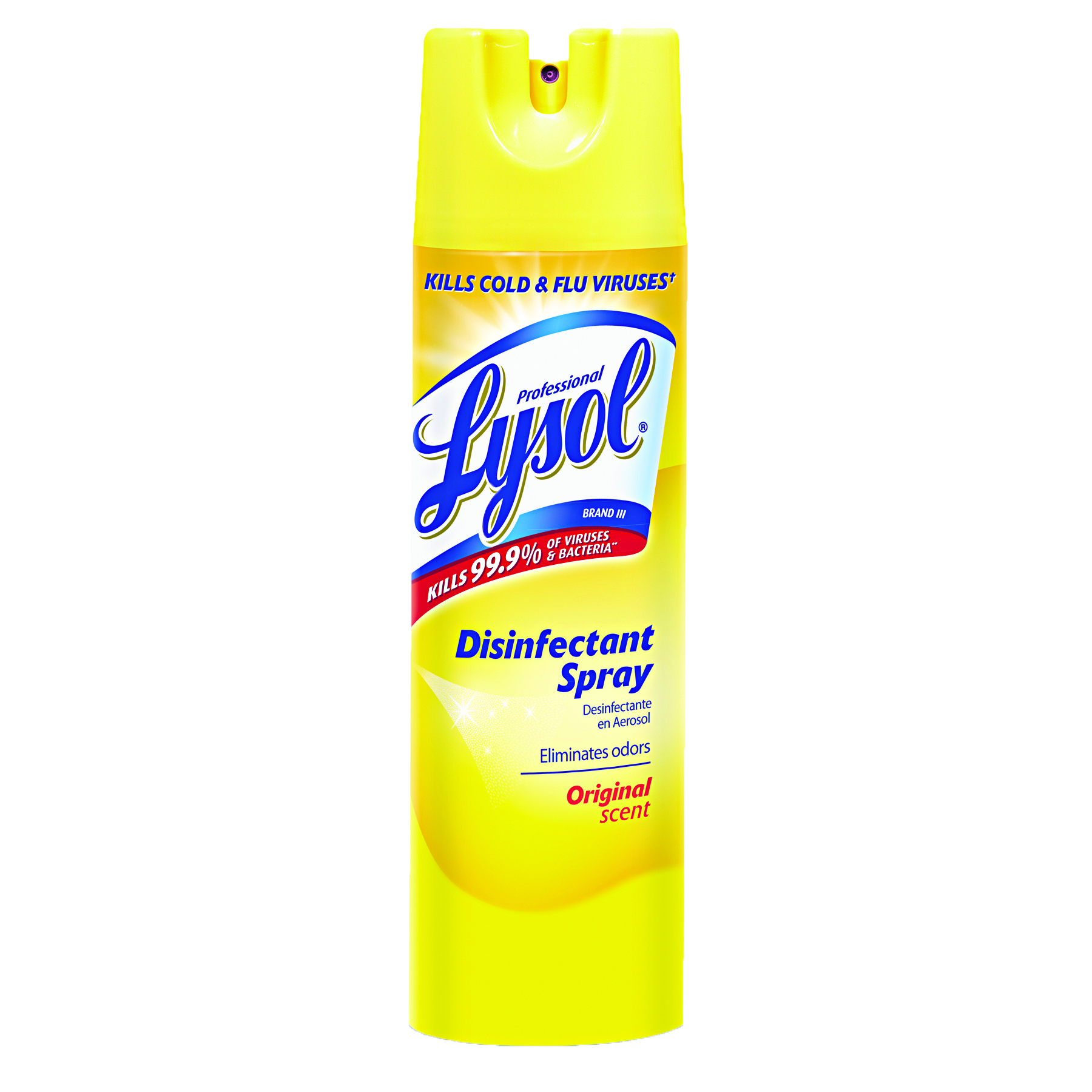 Lysol® Disinfectant Spray - Fresh Scent, 19 oz Spray Can