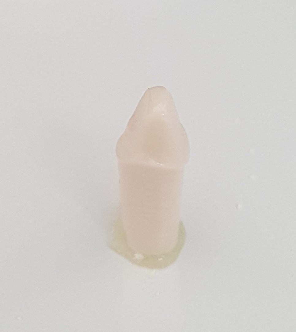 Crown Prep Teeth A21AN-UL12 #9 product image
