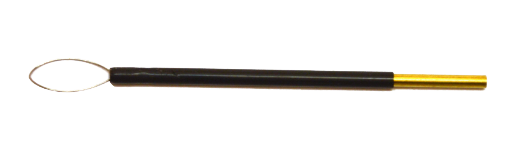 33B0ADA4F6519C2456A7F25E6DF54059