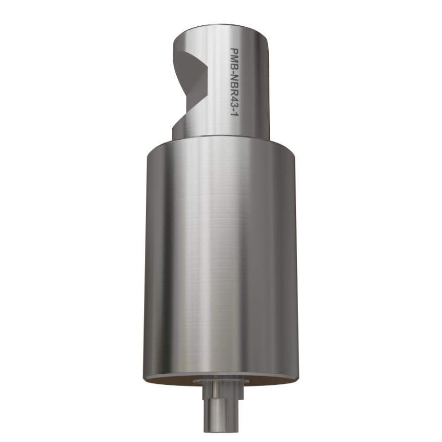 NobelReplace RP Elos Pre-Milled Blank product image