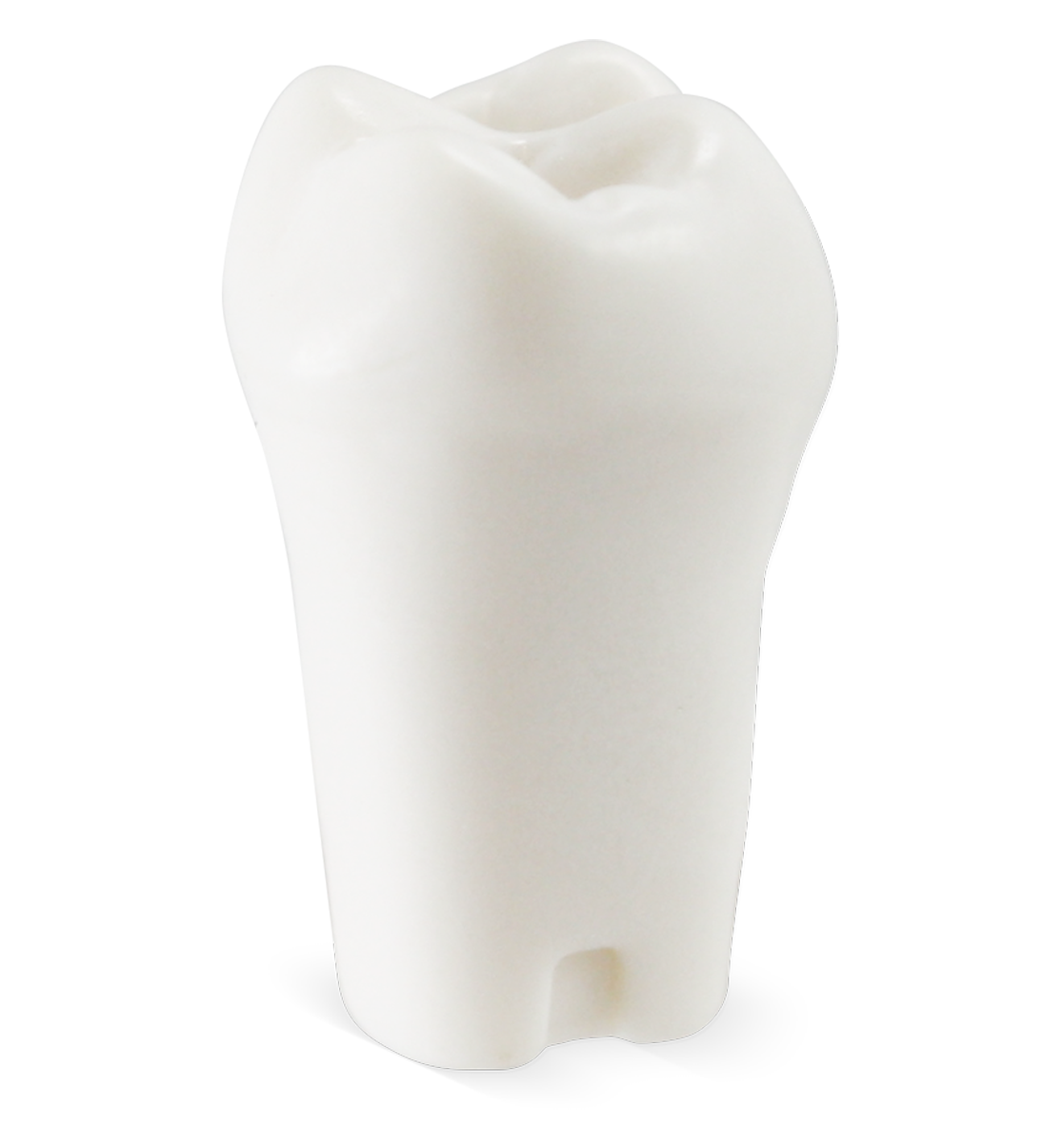 Pedo M400 Tooth #J image