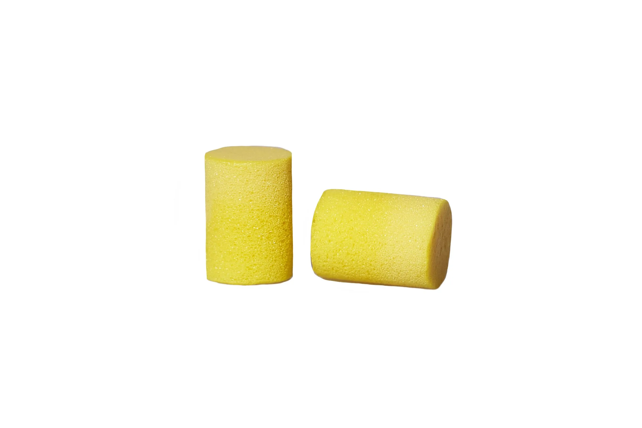 Ear Plug Foam Disposable 24Pr/Bx product image