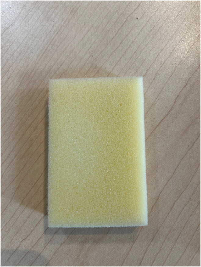 Absorbent Sponge product image