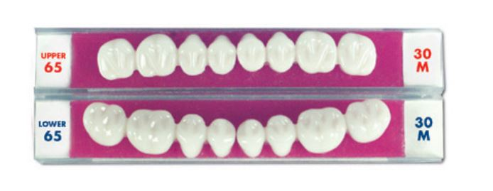 Justi Imperial® Lower Posterior 28M 66 Set of 8 image