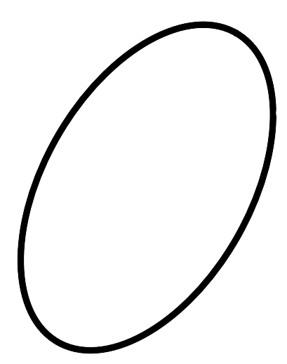 Gasket Ring For Ritter M11 Sterilizer ea product image