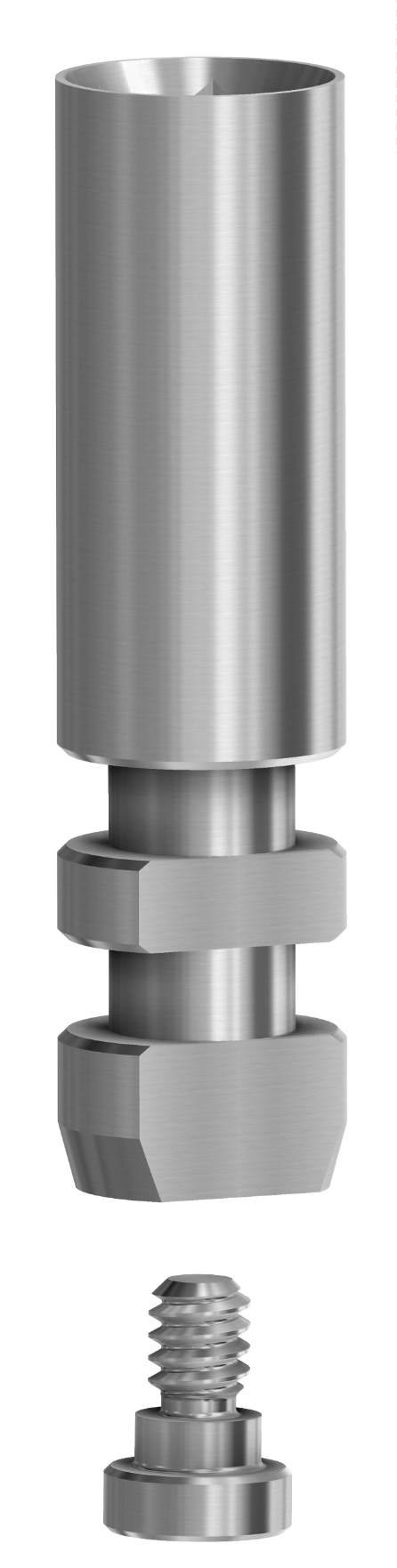 Analog Biohorizons® Int 3.0 - Internal Hex BH No Anodized product image