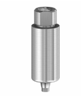 Premilled Blank 10mm Titanium WP Internal Hex Conic product image