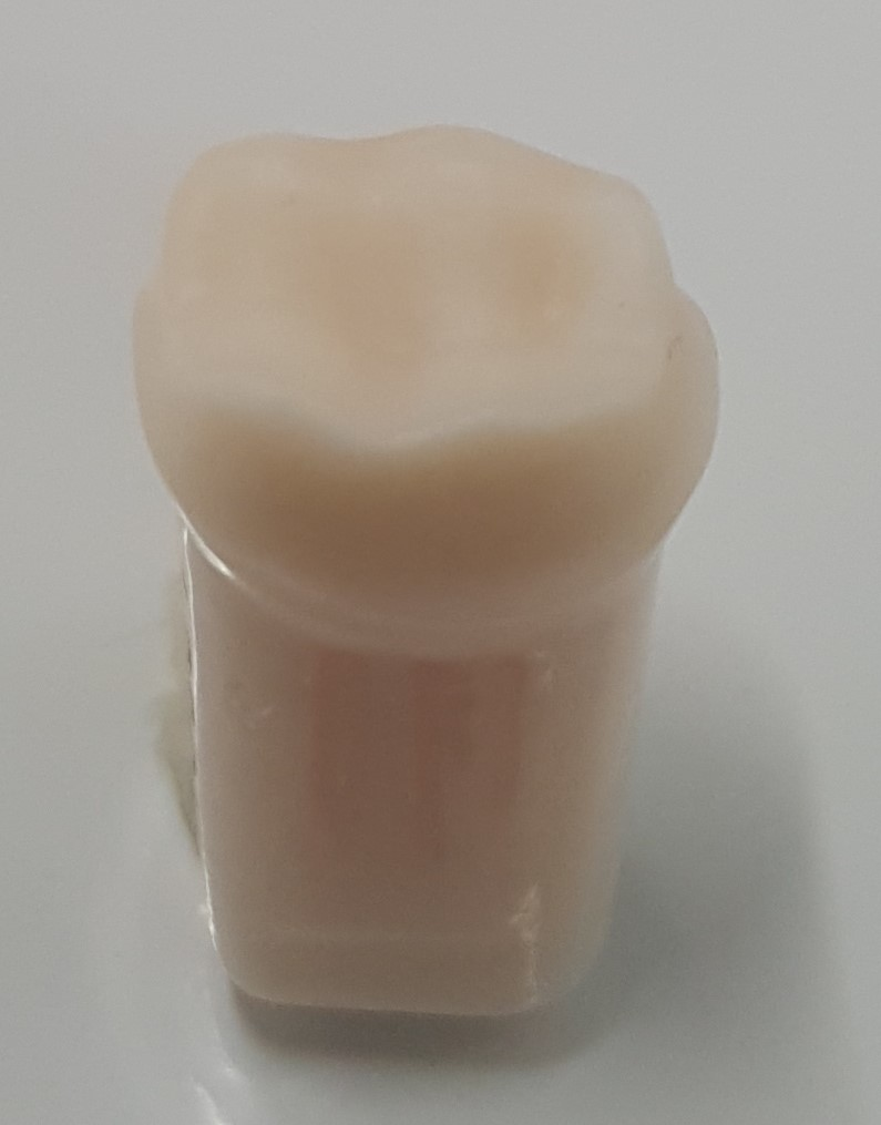 Crown Prep Full Tooth #30 product image