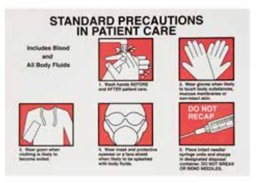 423A41A57DFC60D50B6A3FE5FED1B19A