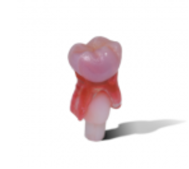 471D487BA7E5DAB95BFB660D7B9DD333