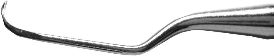 481AF7958911318FCC1931DF5CD02516