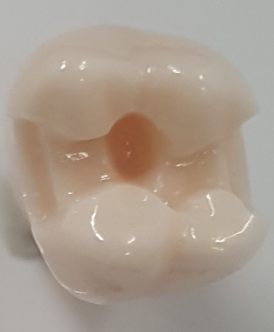 Crown Prep Teeth A21A-UL66 product image