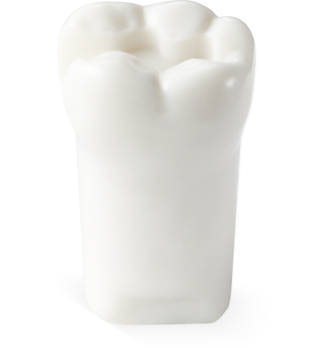 49452BD00FE58EA85737EFA2443FA582