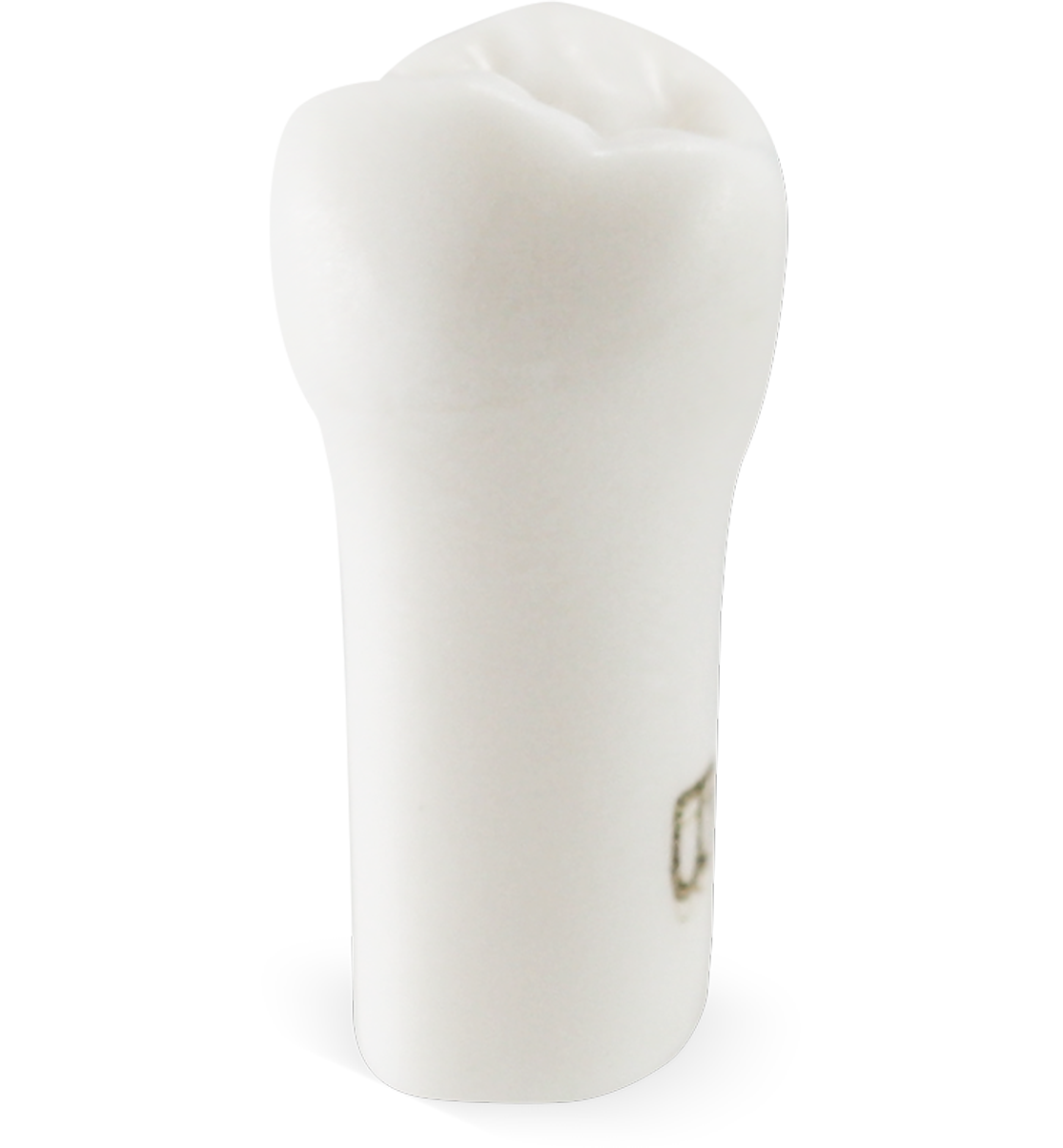 Pedo M400 Tooth #B - Pedo M400 Tooth #B - Image 1