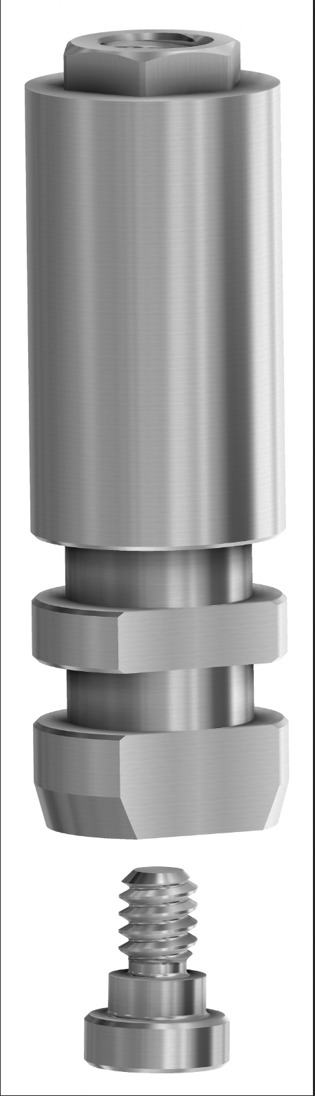 Digital Analog RP on Implant External Hex USA No Anodized product image