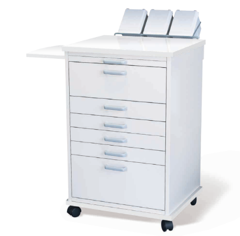 Assistant's North Carolina Mobile with Storage Organizer 18” W x 7” D product image