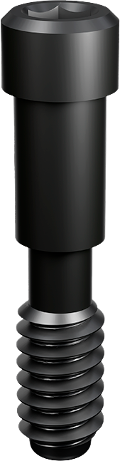 NobelReplace RP/WP/6.0 Elos Prosthetic Screw product image