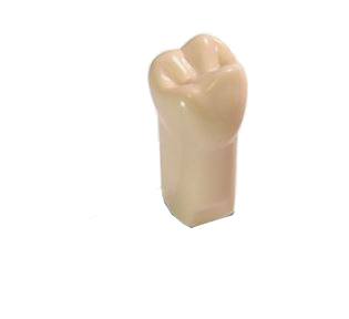 ModuPRO Pros Replacement Teeth MPR-M200 #2 product image