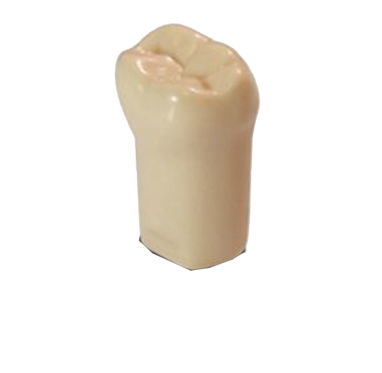 5B5D819581DFC9E5AE53681C2D1E2384