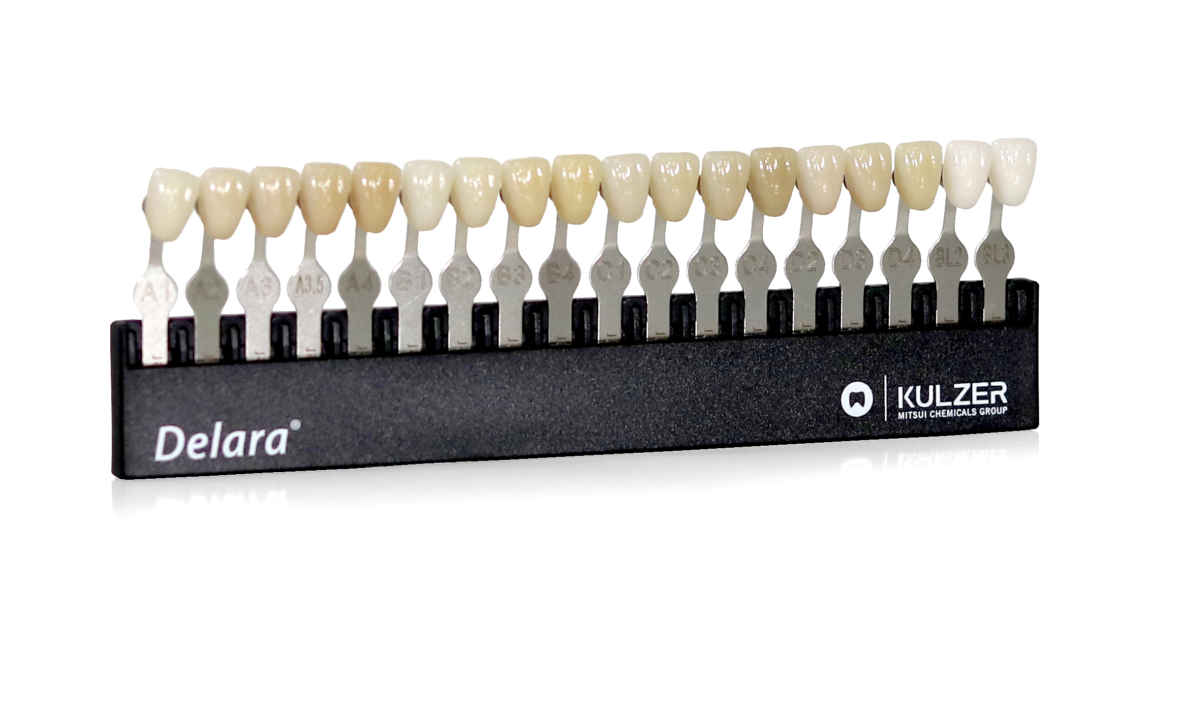 Delara Shade Guide product image