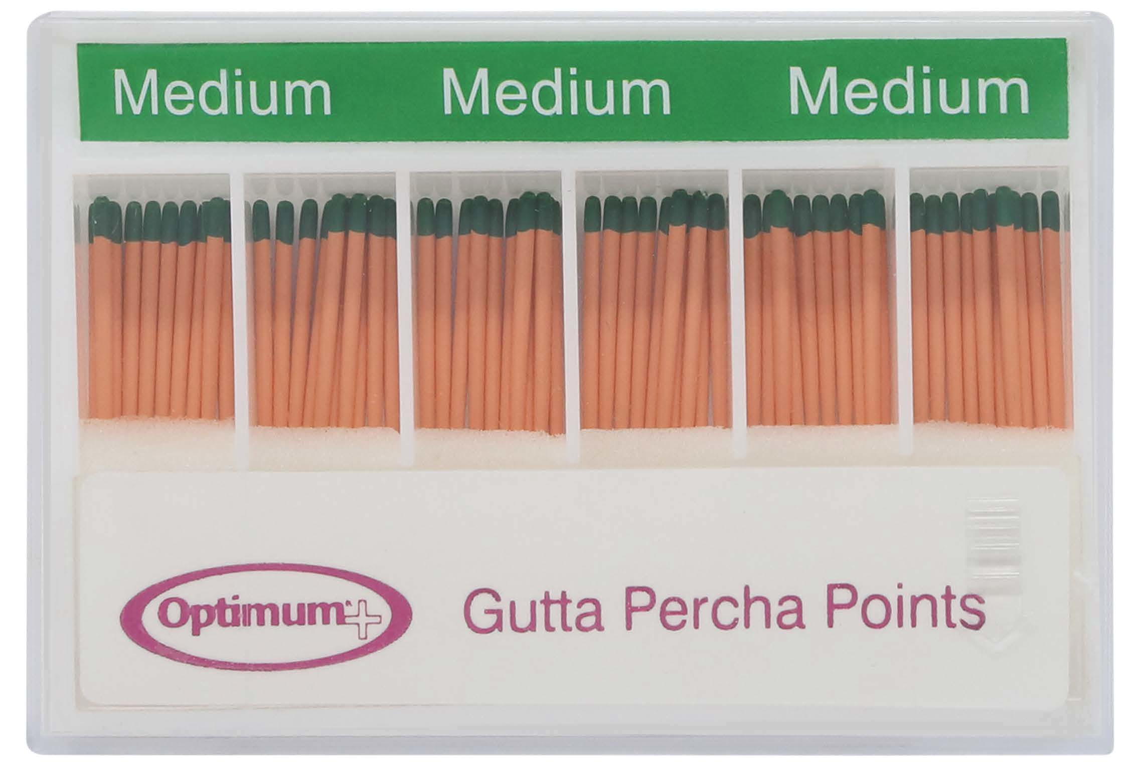 61EEB37311FF920178107E26FC296F10