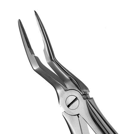 #97 European Style Serrated Root Forcep Unpacked product image
