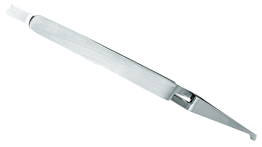 669B37E5604B613C24A2B1307D019510