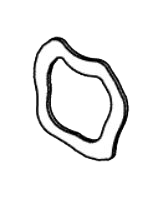 Wave Washer Pack of 5 product image