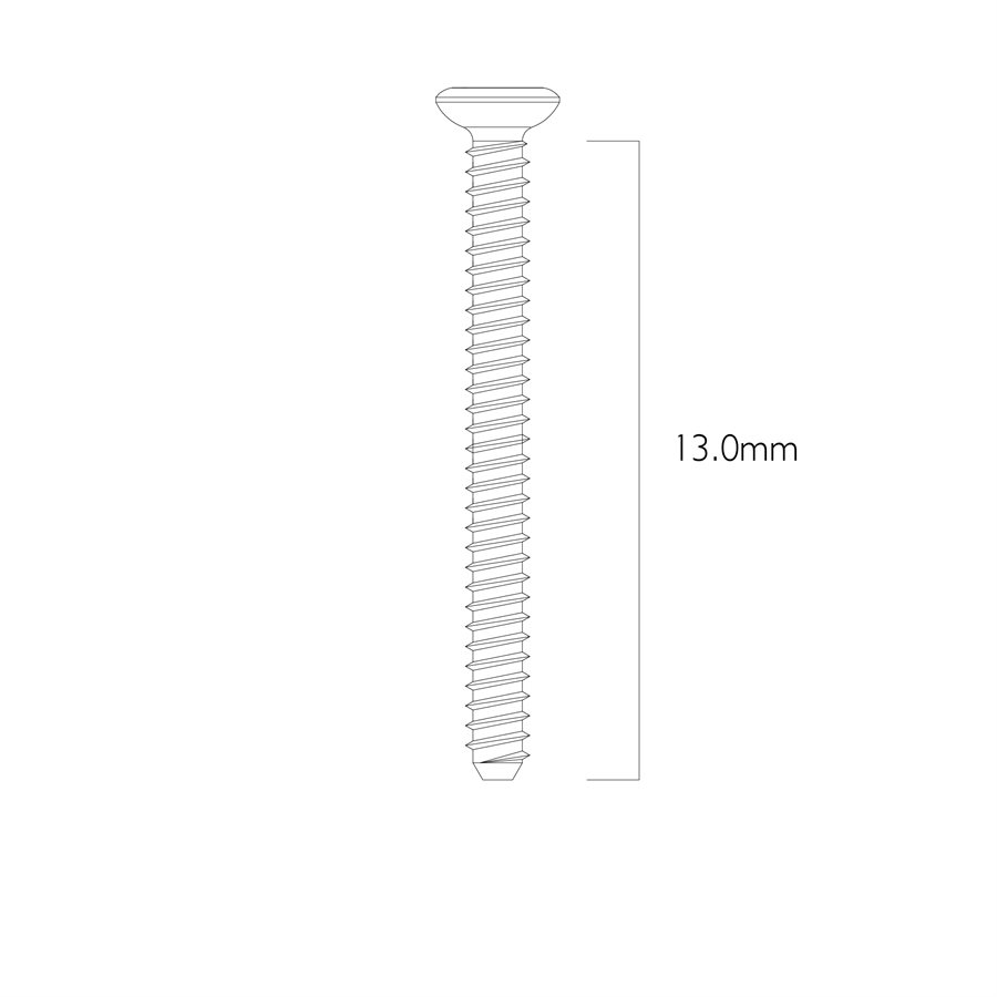 Surgery Bone Fixation Screw 1mm 13mm Length Pack of 10 product image
