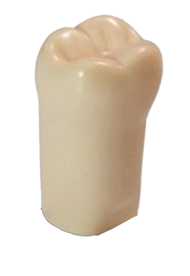 #31 ModuPro One M300 Tooth product image