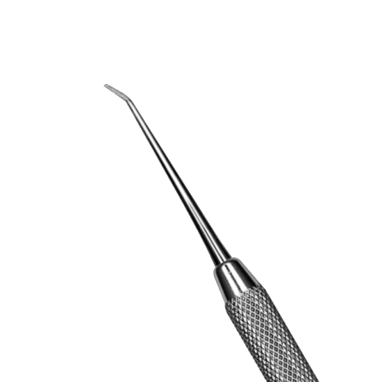 6A58F3EEFB1145F5DD22990CFDDA4C0E