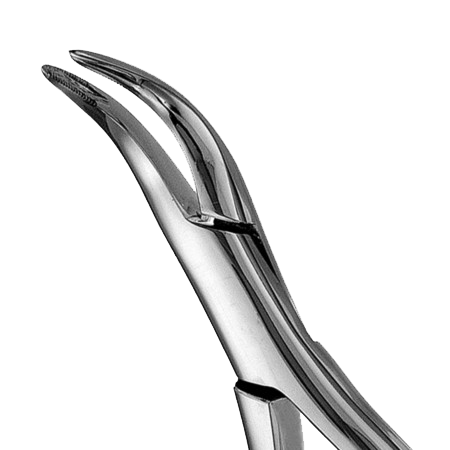 #301 Serrated Root Forcep Unpacked product image